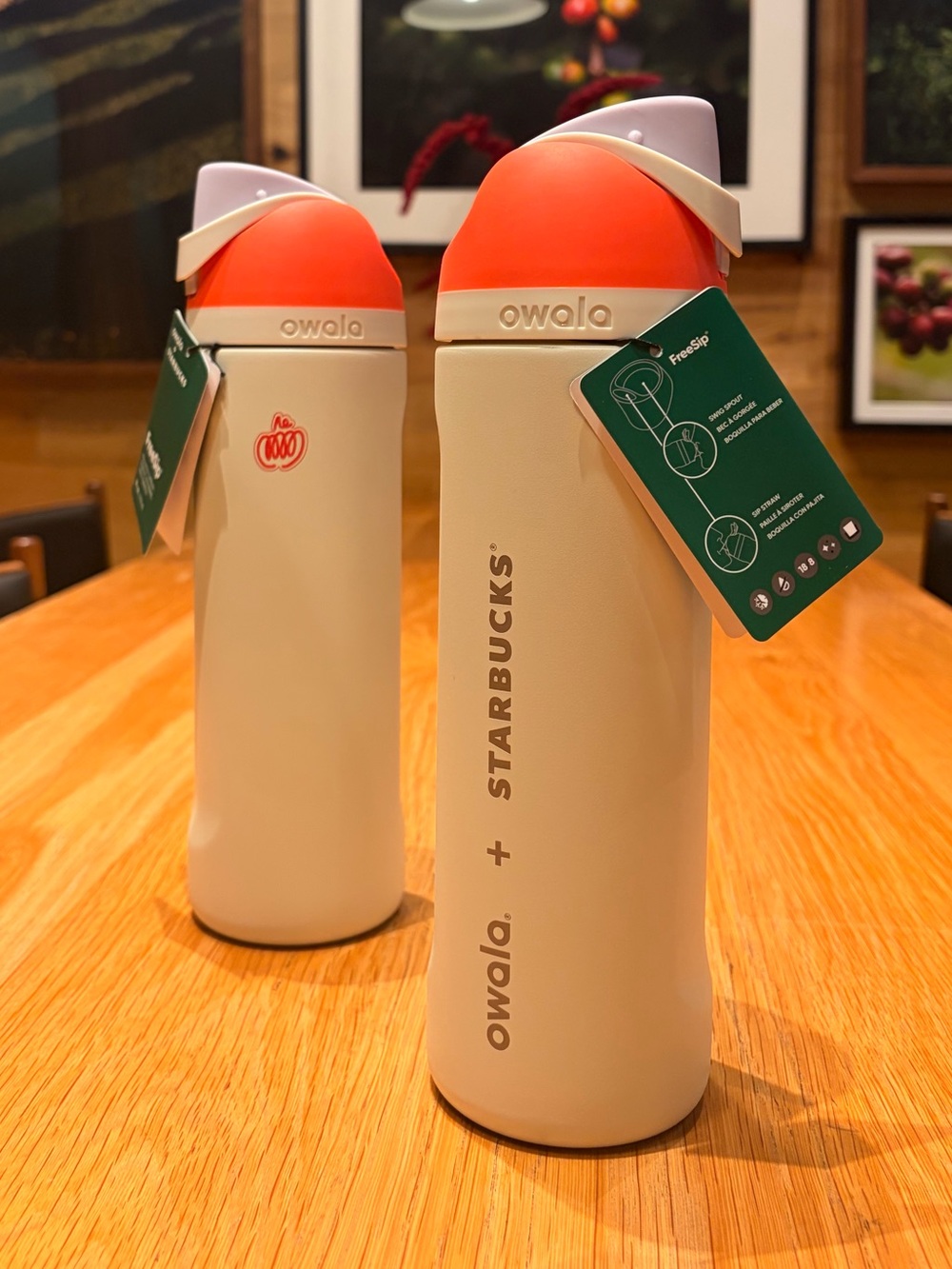 Owala x Starbucks Pumpkin Spice Latte FreeSip 24oz Stainless Steel Water Bottle
